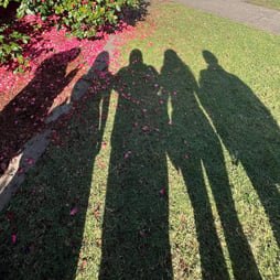 Group of shadows